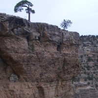 Grand Canyon - Beautiful Nature