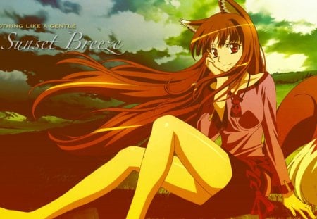 ~Sunset Breeze~ - fields, sitting, spice and wolf, anime, barefoot, grass, holo