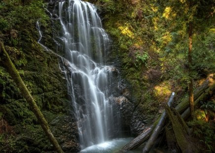 waterfalls - waterfalls, tree, stone, river