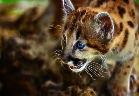 Cougar Cub Fractal - nature, predator, lion, wild, small