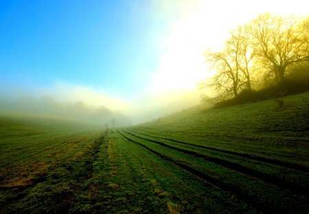 MISTY FIELD - path, field, fog, nature, mist