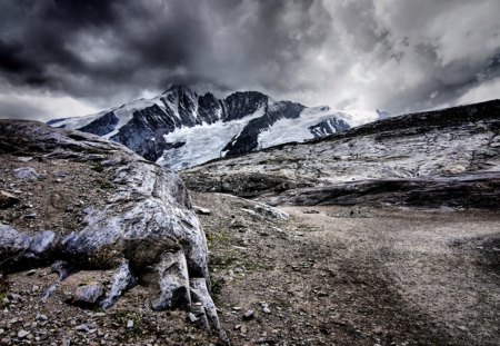 Alpine  story - story, alpine, nature, mountain