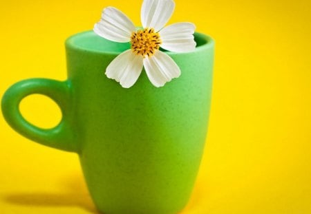 âœ² - yellow, photography, small, cute, cup, flower