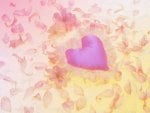 Pink heart and petals