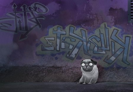 Graffiti - graffitti, spray, pug, dog