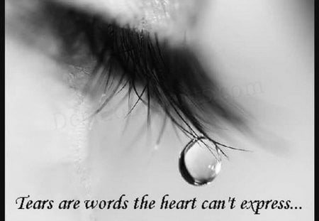 Expression - sadness, face, quote, tear