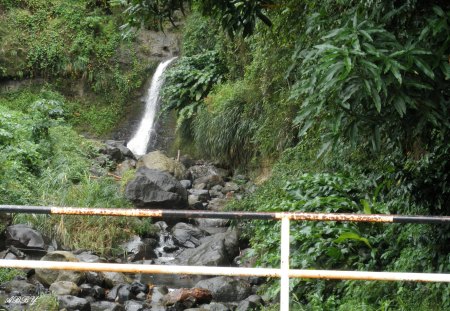 Waterfalls from St. Lucia Islands - forests, photography, green, waterfalls, stones