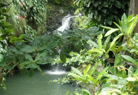 Waterfalls St. Lucia Islands - forests, trees, Waterfalls, green, photography