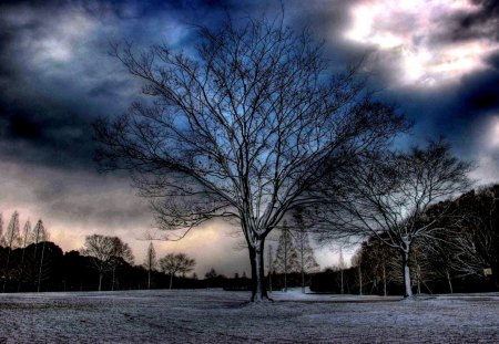 DARK CLOUDS - clouds, stormy, tree, dark, sky