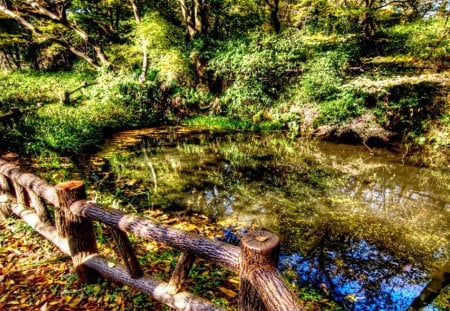 FOREST POND - forest, pond, fence, hdr