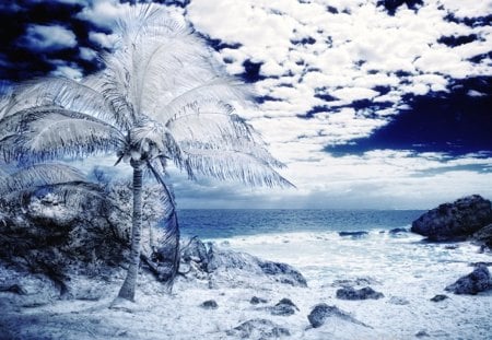 * - infrared, landscape, palmier, blue