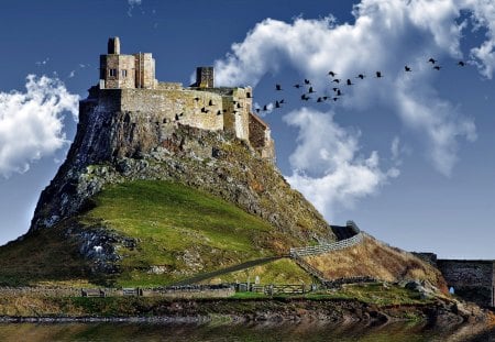 crane flying by a castle on a hill - hill, lake, castle, clouds, birds