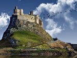 crane flying by a castle on a hill