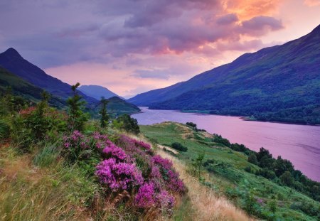 glorious color on a river in the scottish highland - sky, popular, wallpaper, mountains, nature, river, pink, clouds, flowers, rivers