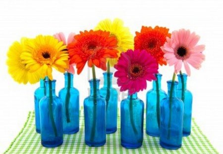 Daisies in blue - daisies, flowers, blue, colors, glass