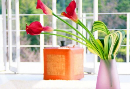 Cala - cala, glass, lilies, pink, flowers, vase