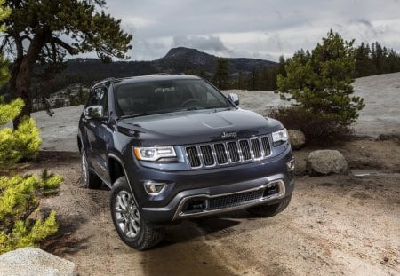 jeep - jeep, stone, car, tree