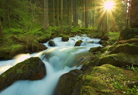 The Sun's rays-  waterfall, - waterfall, forest, sun, rays