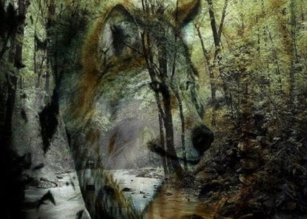 Kindred Spirit - abstract, fantasy, animal, wolf, woods