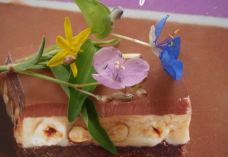 Pretty little wild flowers - flowers, pretty, chocolate slice, nature, trick, photography, wild flowers