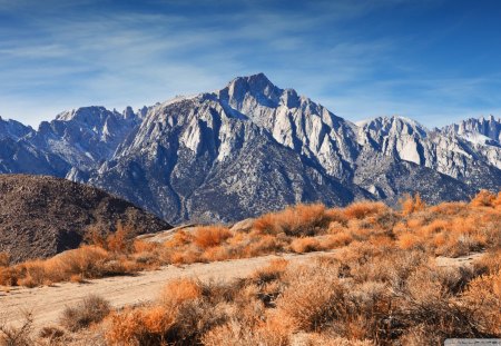 rocky mountains - mountains, peaks, brushes, autumn