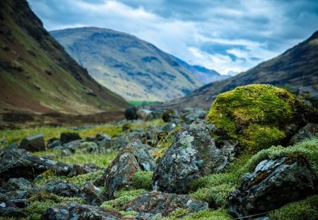 stones in scottish valley in focus - focus, moss, mountains, valley, stones