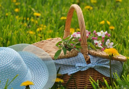 I Love The Spring - hat, pic nic, blue, daisy, beauty, love, flowers, basket, nature, field