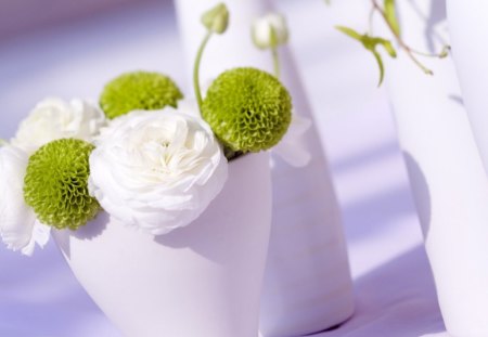 White and green - white, flowers, vase, jars, green