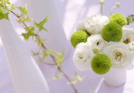 White and green - vase, white, jars, green, flower