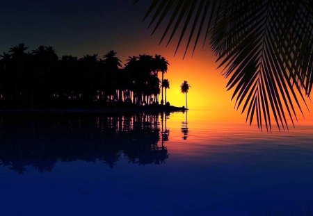 Tropical Sunrise - sunset, beaches, Sunrise, ocean, Palm trees