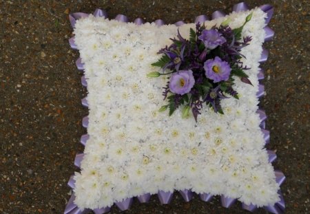 Pillow shape flowers - style, pillow, shape, chrysanthemum, petals, flowers