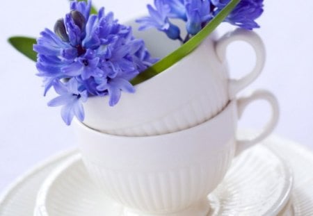 Blue petals in a cup - flowers, style, cups, plate, saucer, petals