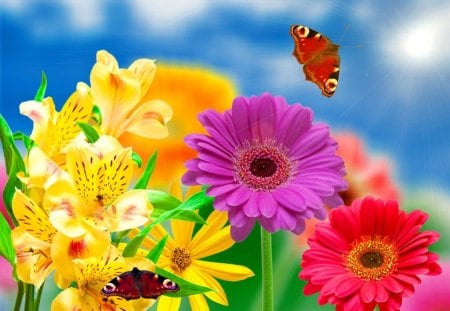 Spring flowers - pretty, beautiful, fragrance, beauty, spring, grass, lovely, freshness, flowers, colorful, fresh, scent, butterfly, serenity, nice, garberas