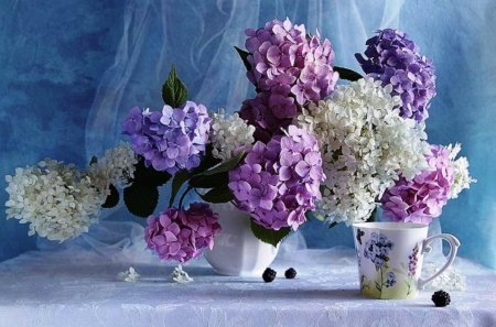 Morning softness - vase, cup, hydrangeas, white, morning, tea, coffee, nature, delicate, purple, pink, soft, beauty, flowers, still life, decor, natural, colors