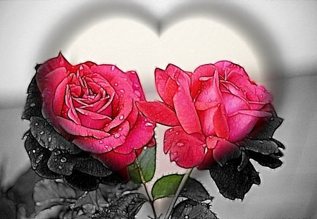 Heart and Roses - love, valentines, roses, red, heart, valentines day, valentine, black