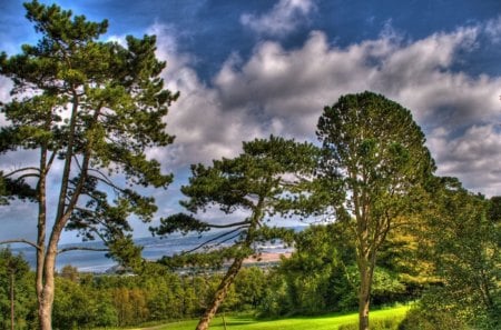 trees on the side of a hill with great view hdr - hill, view, trees, hdr, grass