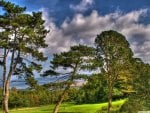 trees on the side of a hill with great view hdr