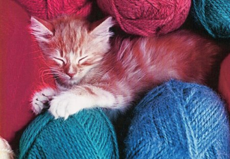 An orange and white kitten sleeping with yarn