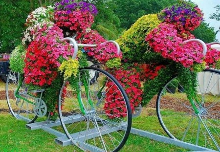 Geraniums - wagon, pink, geraniums, red, flowers