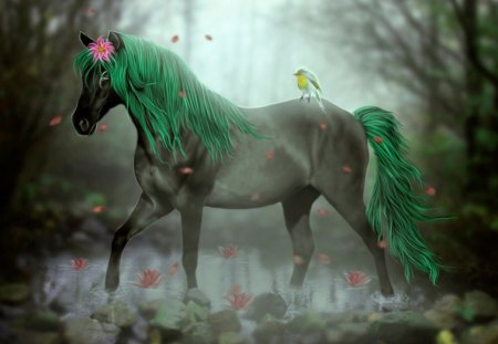 Beautiful Lady - forest, horse, fantasy, bird