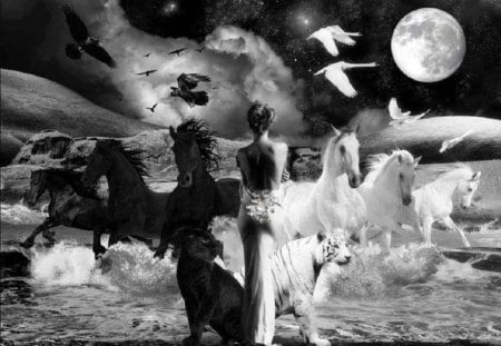 Black And White Fantasy - women, abstract, moon, birds, ocean, tiger, fantasy, horses, panther, animals