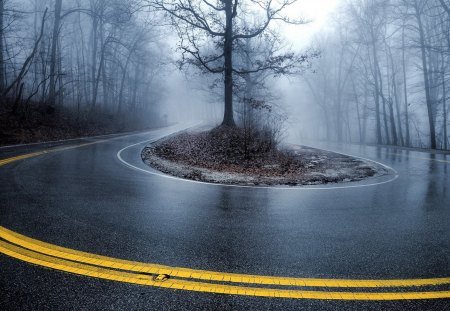 Road - Photography, fog, Road, mist