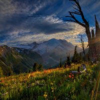 Sunrise in the mountains