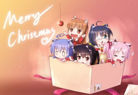 Merry Christmas - holiday, merry christmas, box, cant think of a fourth