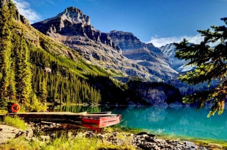 MOUNTAIN LAKE - pines, boat, snow, lake, mountains