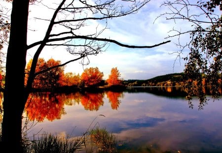 LAKE VIEW - lake, trees, nature, autumn