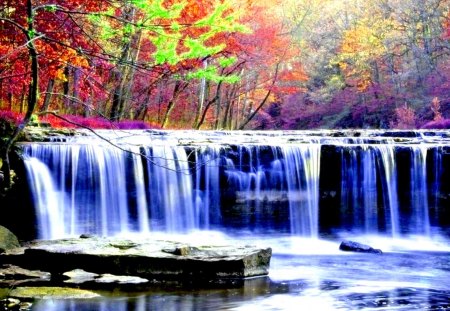 AUTUMN FOREST FALLS - forest, nature, autumn, falls