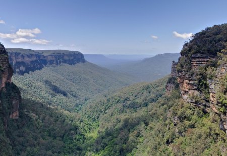 beautiful forested valley - cliffs, valley, forest, mountains