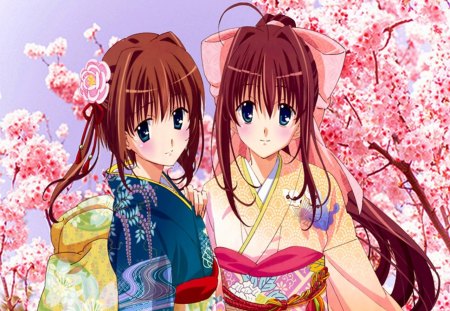 Da capo - manga, anime, cherry tree, shojo, kimono, pink Ribbon