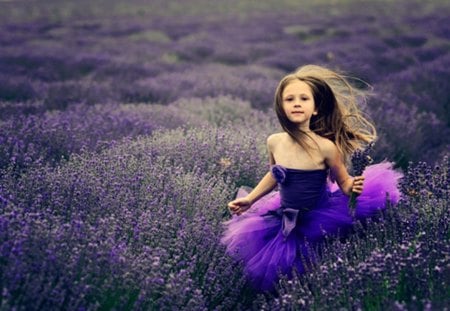 Fairy in purple - purple, beauty, flowers, field, nature